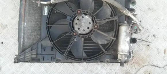 Renault Scenic I Coolant radiator 7700425824a 863322z