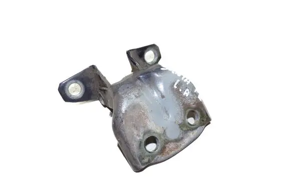 Hyundai Santa Fe Rear door lower hinge