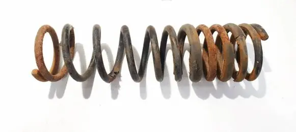 Rear coil spring