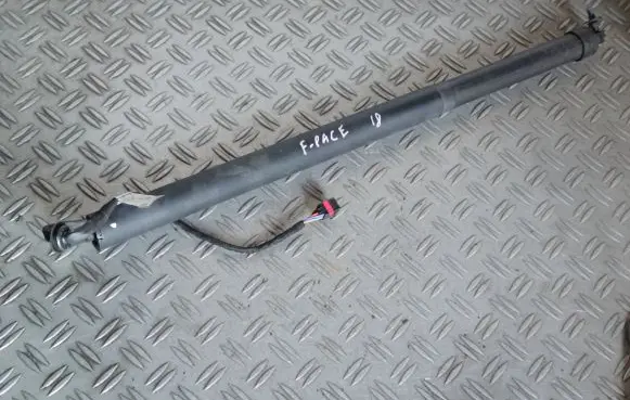 Jaguar F-Pace Tailgate/trunk strut/damper HK8370354AC 20180921 074207