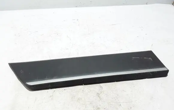 Rear door trim (molding)