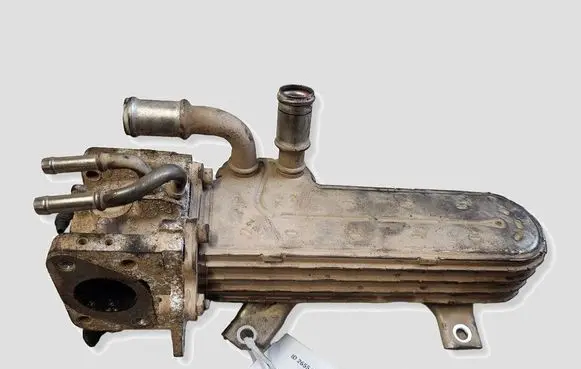 Volkswagen Golf V EGR valve 038131513AD
