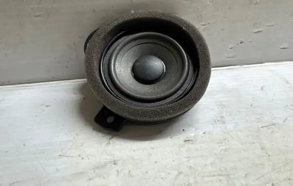 Front door speaker