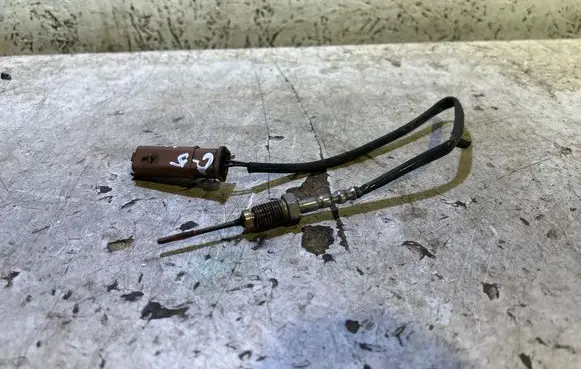 Citroen C5 Exhaust gas temperature sensor 9665090280