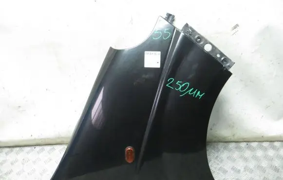 Renault Trafic II (X83) Fender