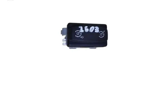 Renault Kangoo II Cruise control switch