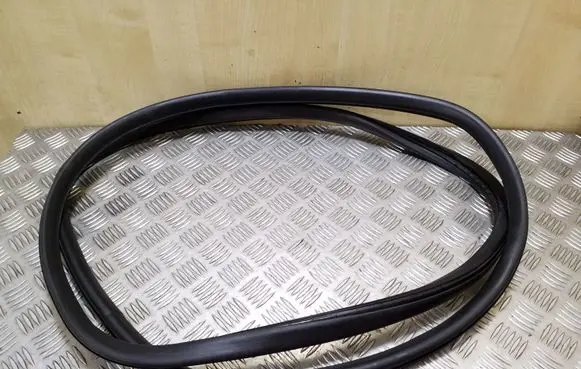 Audi A6 Allroad C6 Front door rubber seal