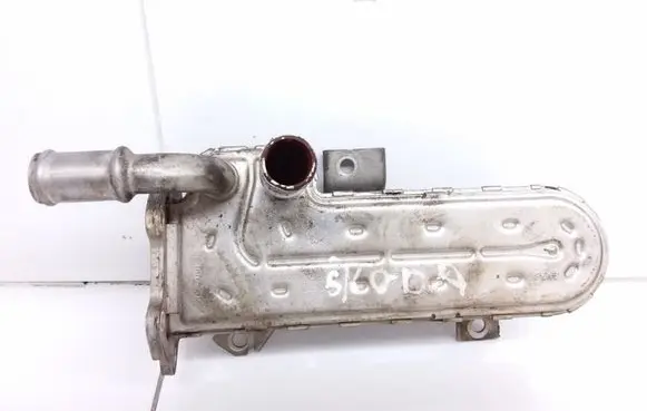 Skoda Octavia Mk2 (1Z) EGR valve cooler 038131513AD