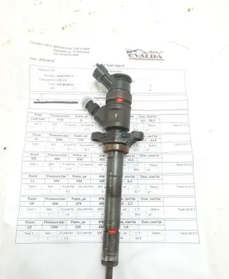 Peugeot Partner Fuel injector 0445110311