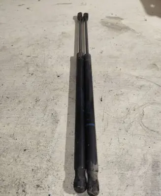 Tailgate/trunk strut/damper