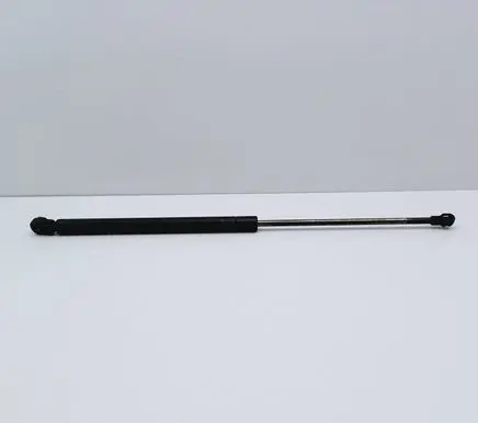 Tailgate strut