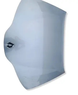 Renault Laguna II Engine bonnet/hood 