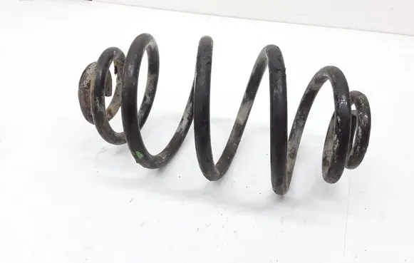 Rear coil spring