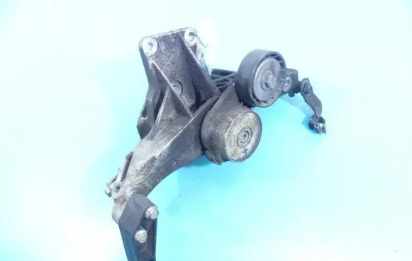Fiat Bravo Timing belt tensioner IMPRK1119437