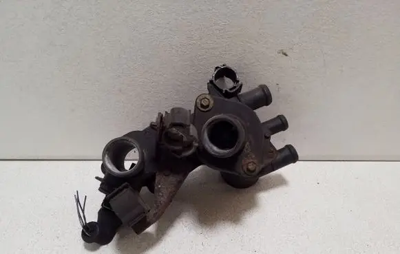 Thermostat/thermostat housing