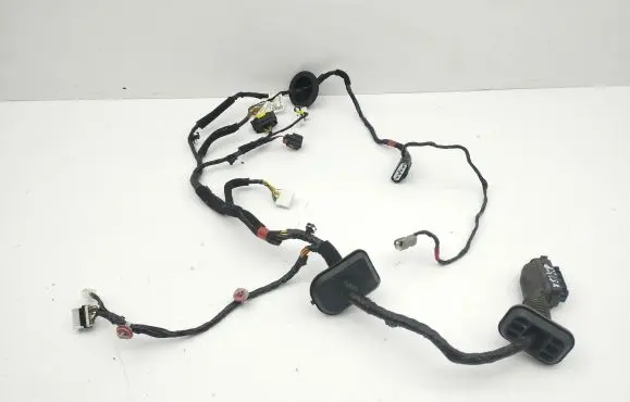 Front door wiring loom
