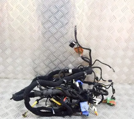 Maserati Ghibli Other wiring loom 670008566 06700085660