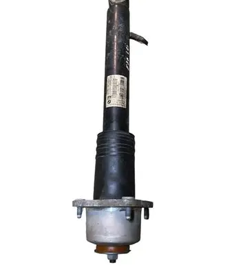 BMW X5 E70 Rear shock absorber/damper 6781928