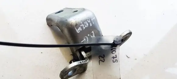 Rear door lower hinge