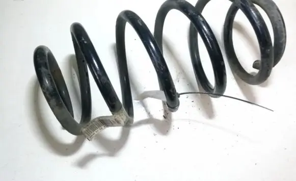 Front coil spring