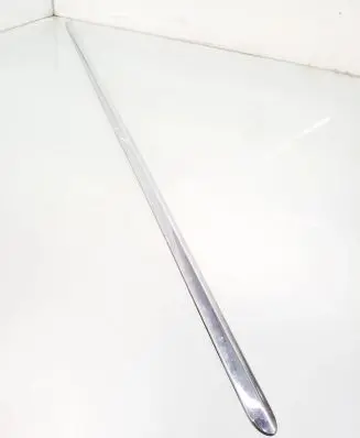 Volkswagen PASSAT B6 Front door trim (molding) 3C0853516D