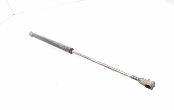 Tailgate/trunk strut/damper