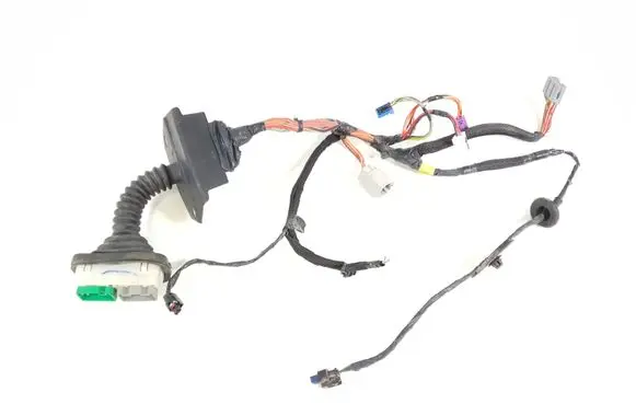 Front door wiring loom