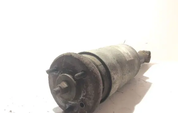 Land Rover Range Rover Sport L320 Air suspension front shock absorber RNB501620 22241483 22241483A