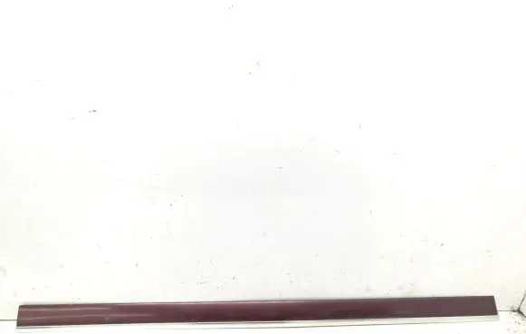 Front door trim (molding)