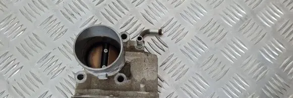 Suzuki Grand Vitara II Electric throttle body valve 