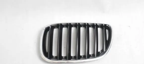BMW X5 E53 Front grill 7124815