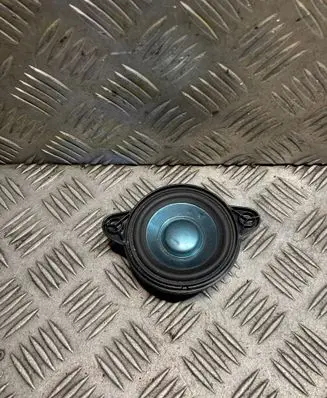 Panel speaker