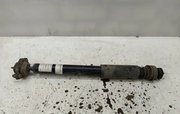 BMW X1 E84 Rear shock absorber/damper 313933 32R89A 814903010073