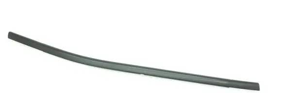 Jeep Renegade Rear door glass trim molding 5209216152223917