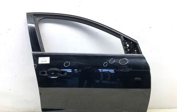 Renault Megane IV Front door TEGNE