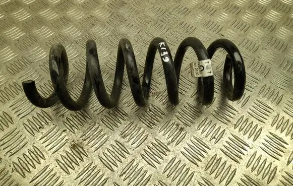 Rear coil spring