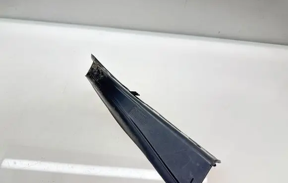 Rear/tail light trim molding