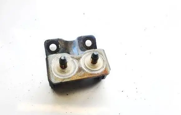 Tailgate/trunk/boot hinge