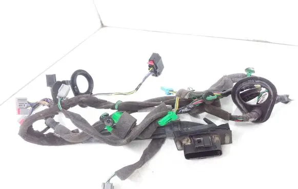 Front door wiring loom