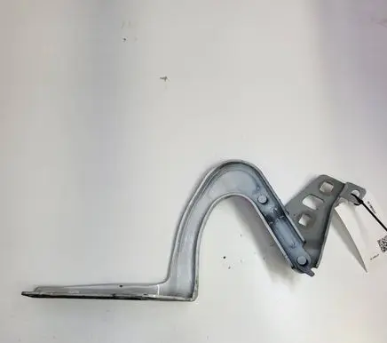 Tesla Model Y Engine bonnet/hood hinges 149626700C
