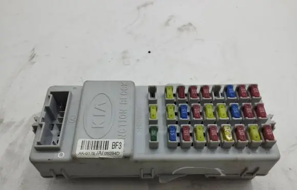 KIA Sorento Fuse module 911713E920