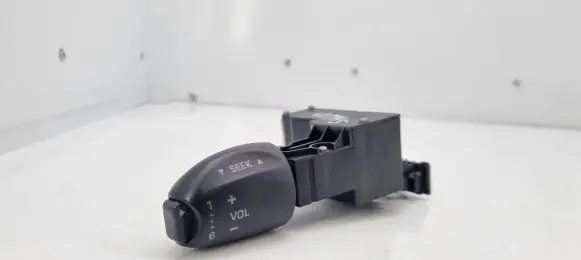 Multifunctional control switch/knob