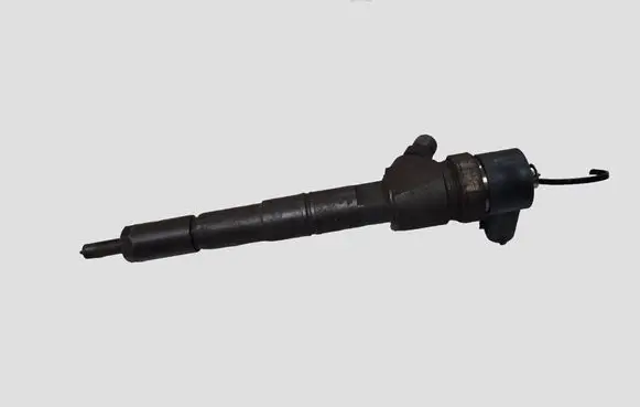 Opel Insignia A Fuel injector 0445110423 55577668