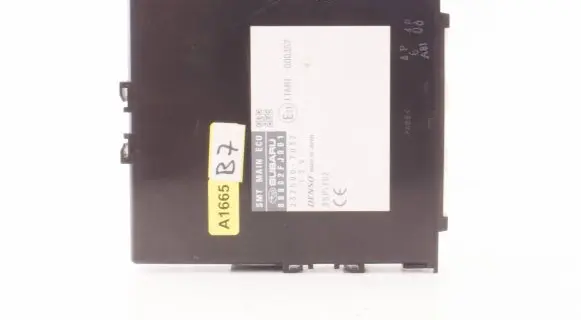Keyless (KESSY) go control unit/module