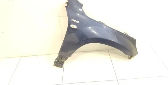 Suzuki Grand Vitara II Fender