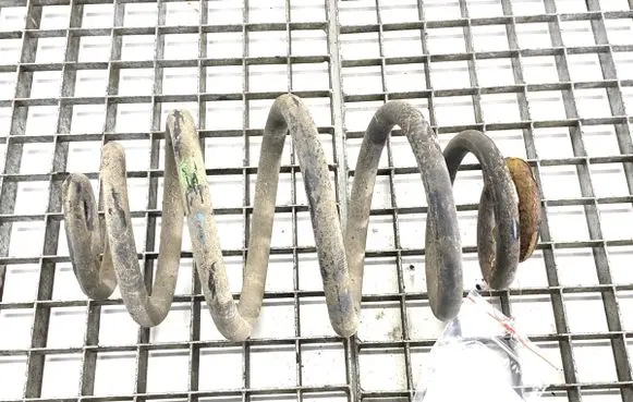 Rear coil spring