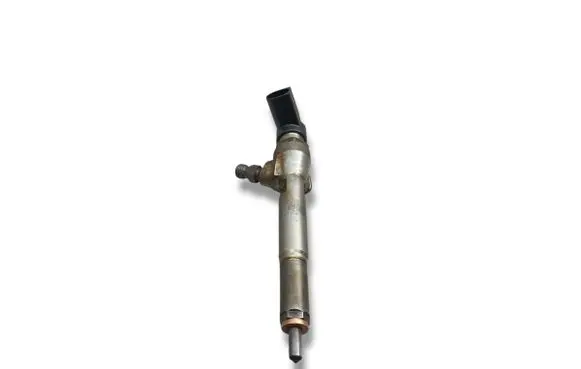 Renault Megane II Fuel injector 8200380253 H8200294788