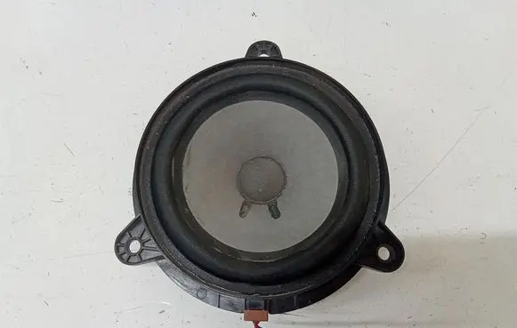 Rear door speaker