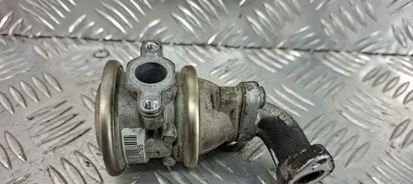 EGR valve