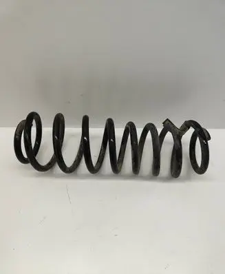 Ford Mustang V Rear coil spring BR335560CB E29EJ 616051